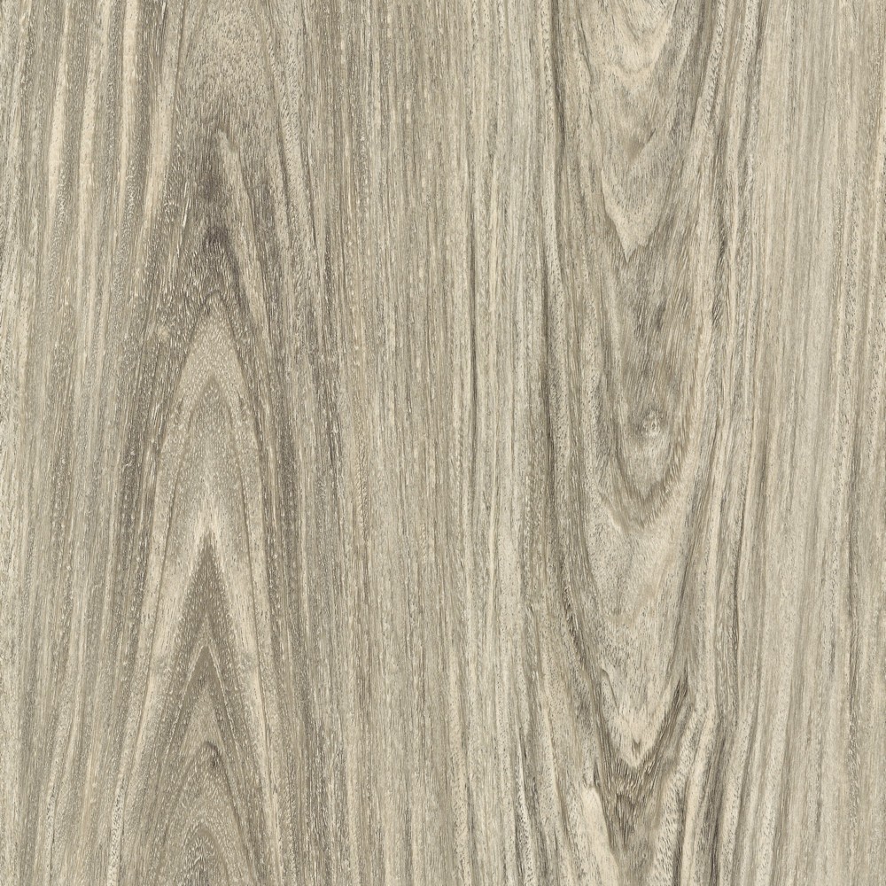 Дуб мюнстер