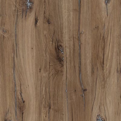 Дуб флагстафф